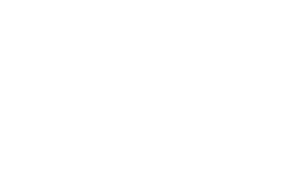 Futura Leathers S.p.a.